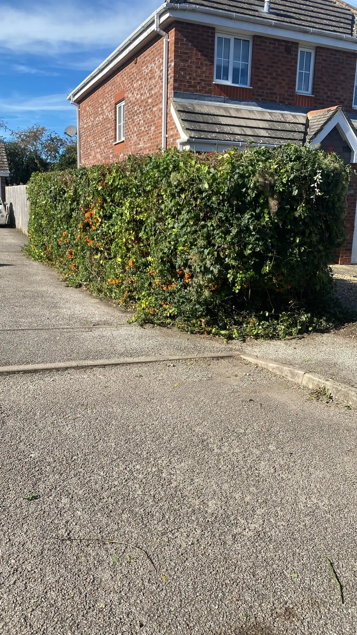 After: the same corner hedge cut back neat and square