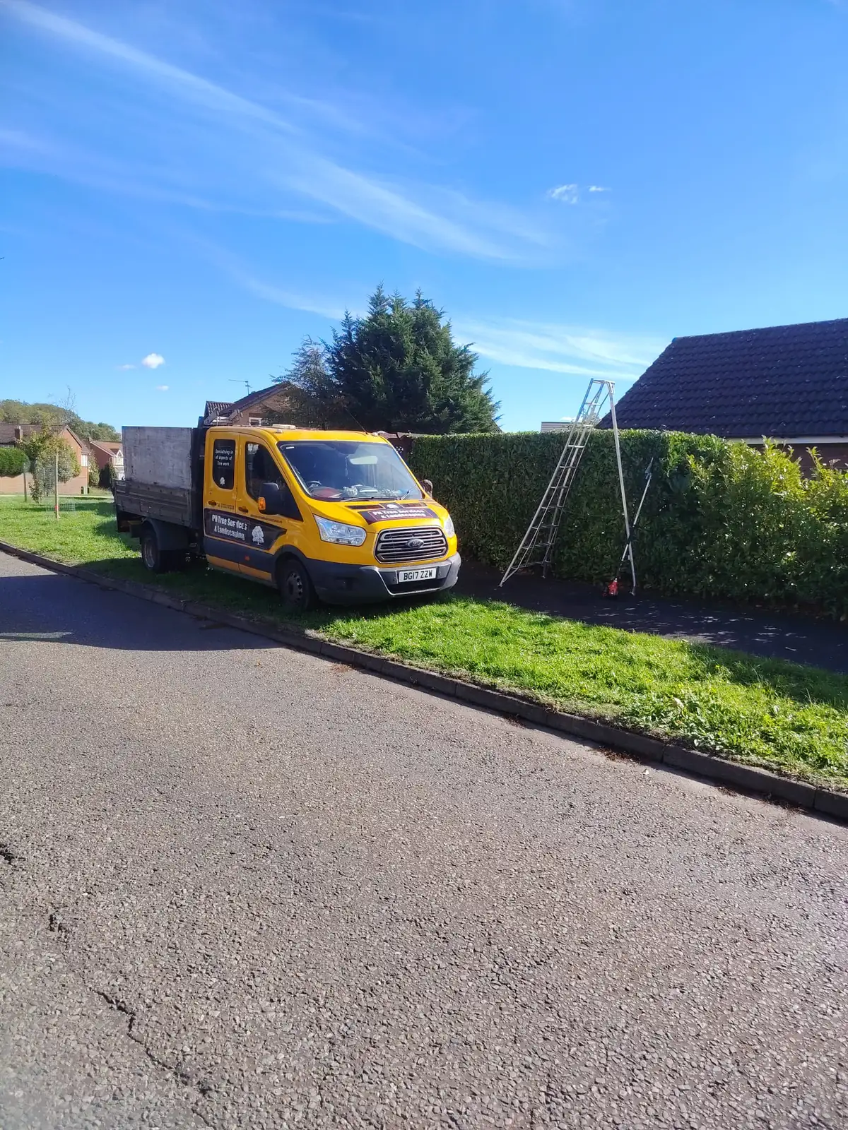 Yellow PH Tree Services van beside a neatly cut laurel hedge, with a tripod ladder