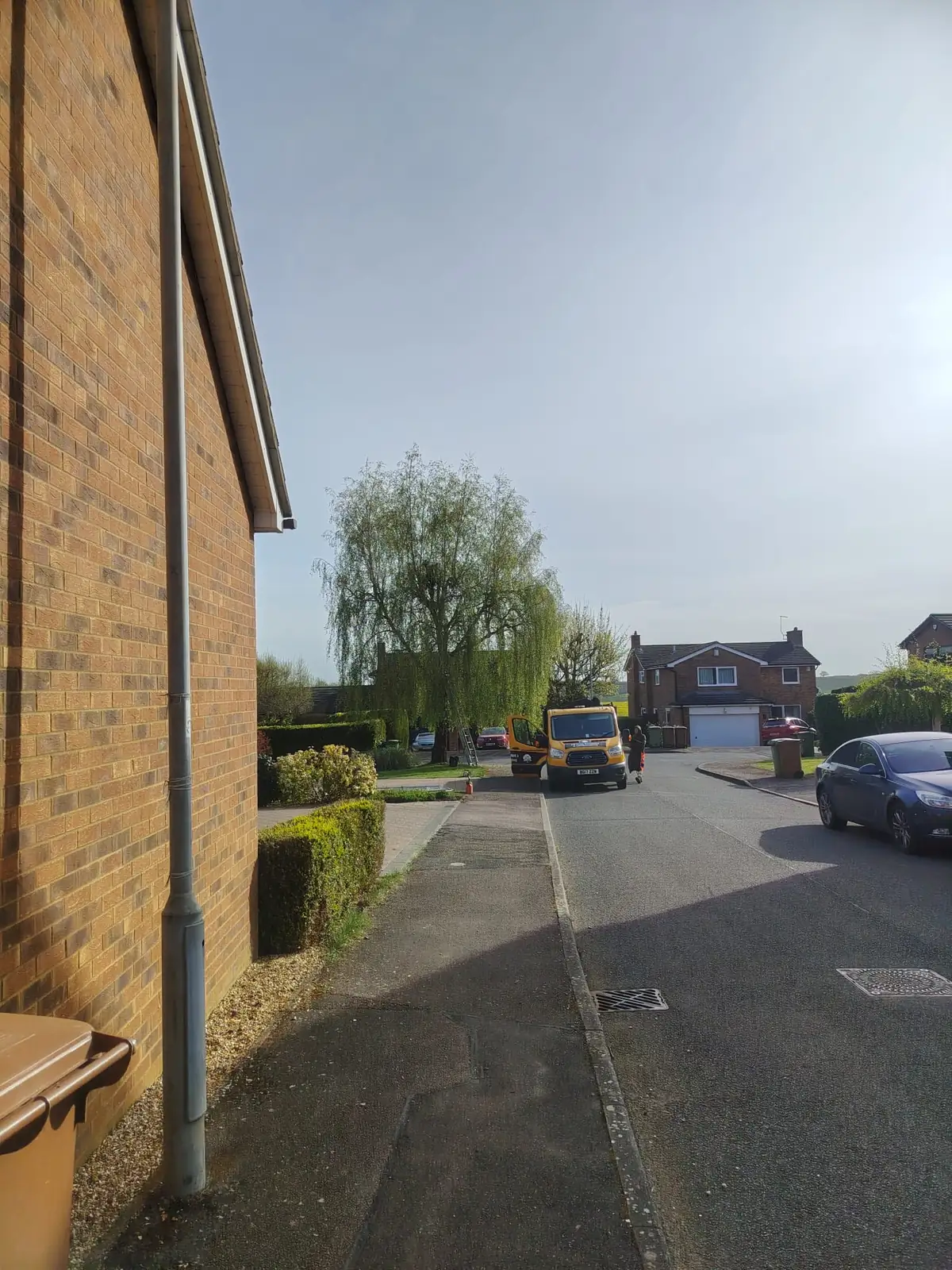 The PH van on a job in a residential street, with a weeping willow behind